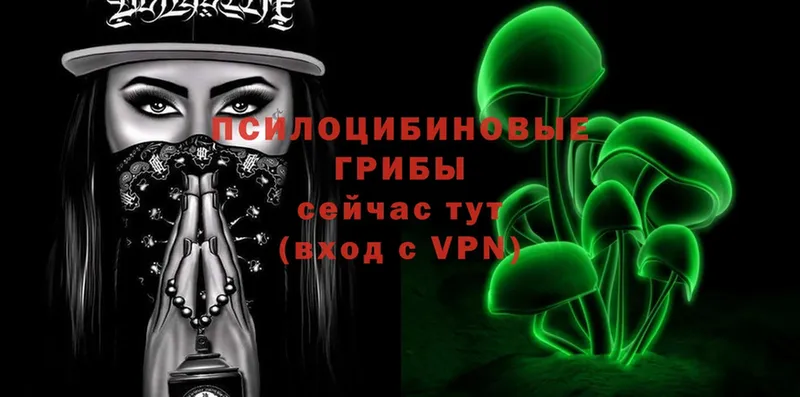 Галлюциногенные грибы мухоморы  hydra tor  Прохладный 